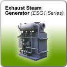 Cain Gas and Diesel Cogeneration Exhaust Steam Generator Series